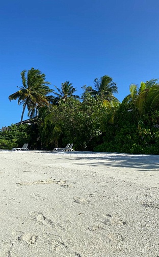 Фото отеля KURAMATHI ISLAND RESORT 4* от наших менеджеров